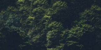 Your Home: Premium Sound Systems Offer Astounding Quality