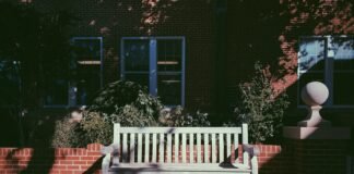 Cerpen Dalam Dekapan Nasihat Ayah a white bench sitting in front of a brick building