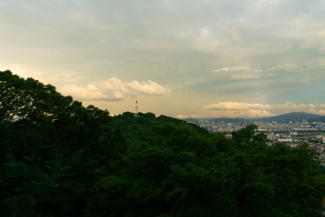 Photo by byquincy A view of a city from the top of a hill