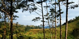 Wisata Alam Tepas Konci Pataruman white tent on green grass field near green trees under white clouds and blue sky during