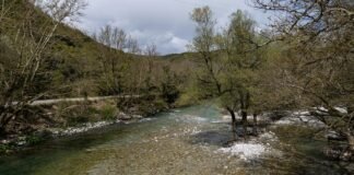 Wahana Ulin Kabapa a river running through a lush green forest