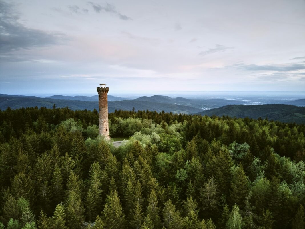 Photo by David Stamm a tall tower sitting in the middle of a forest